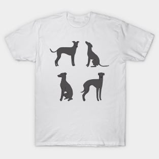 greyhoun pack T-Shirt